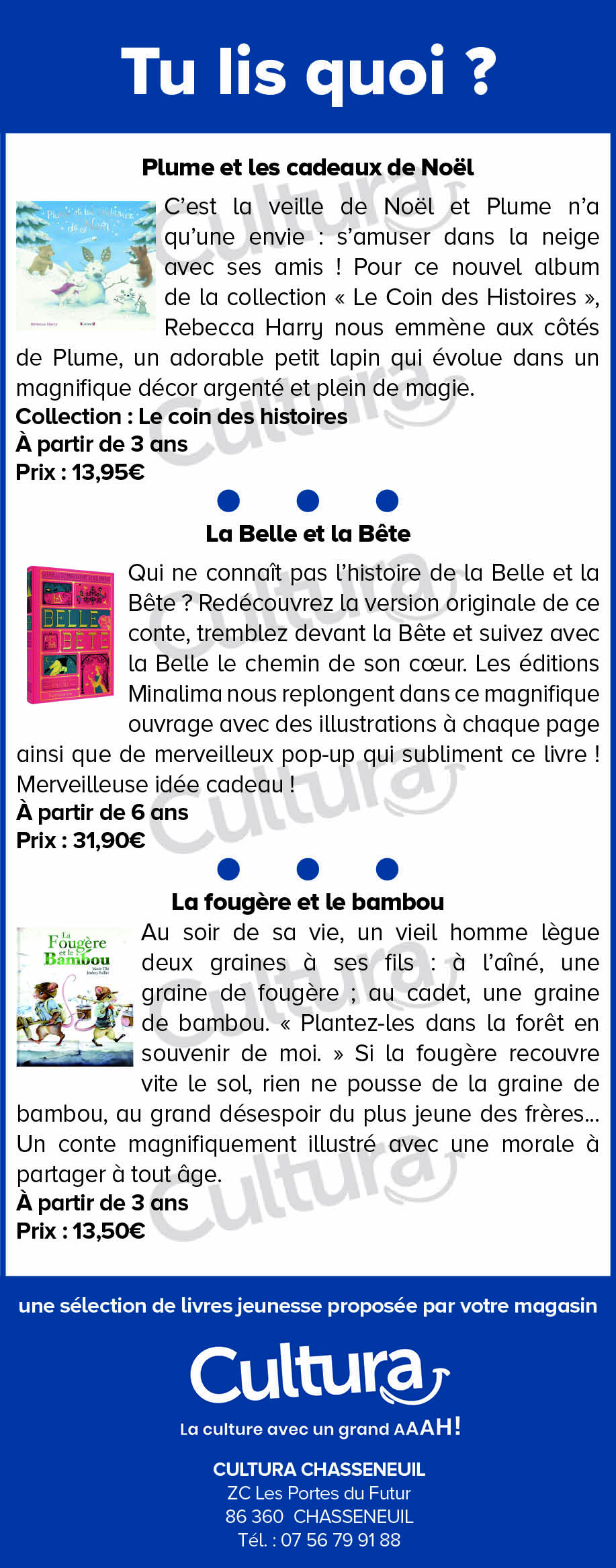 Bannière publicité événement Vienne 86