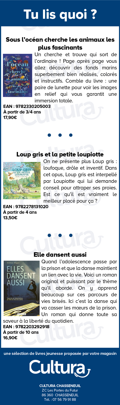 Bannière publicité événement Vienne 86