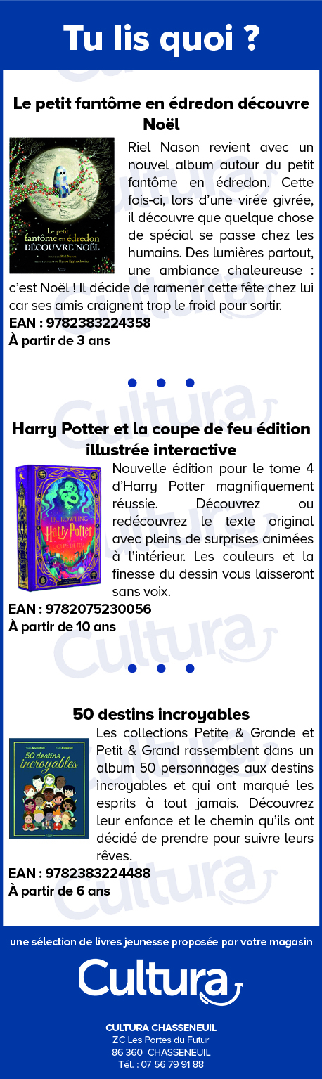 Bannière publicité événement Vienne 86