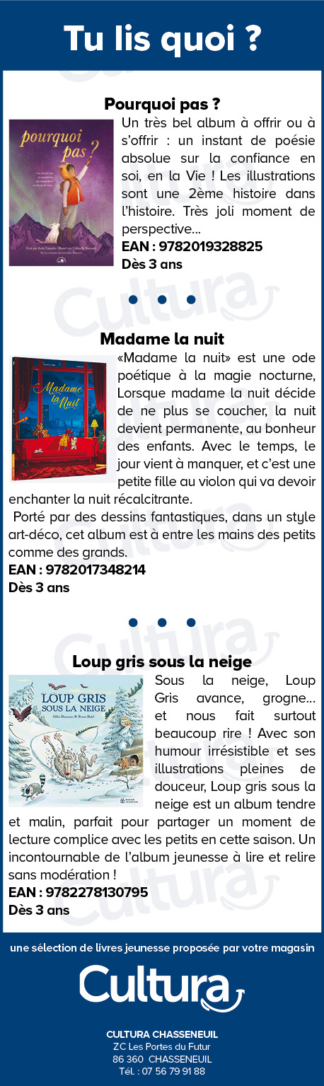 Bannière publicité événement Vienne 86